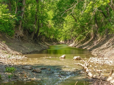 Within 1 hour of Dallas- World-class 408+/- acre hunting resort - photo 32