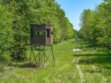 Within 1 hour of Dallas- World-class 408+/- acre hunting resort - photo 34