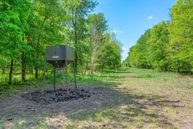 Within 1 hour of Dallas- World-class 408+/- acre hunting resort - photo 38