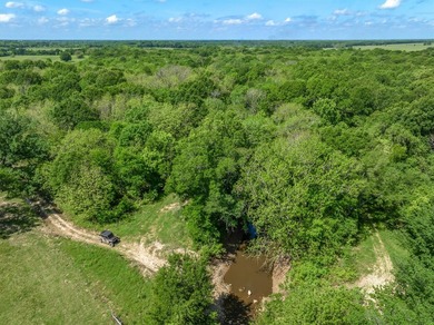 Within 1 hour of Dallas- World-class 408+/- acre hunting resort - photo 39