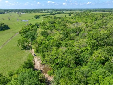 Within 1 hour of Dallas- World-class 408+/- acre hunting resort - photo 40