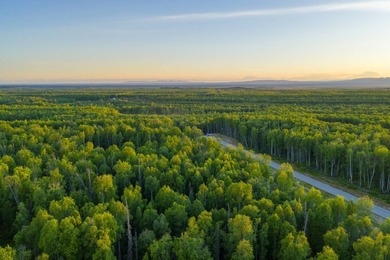 Take a look at this beautiful 3.62 +/- acre property (Unit 77) - photo 3