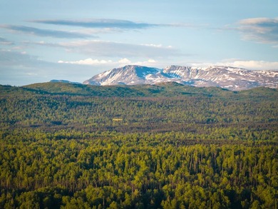 Take a look at this beautiful 3.62 +/- acre property (Unit 77) - photo 6