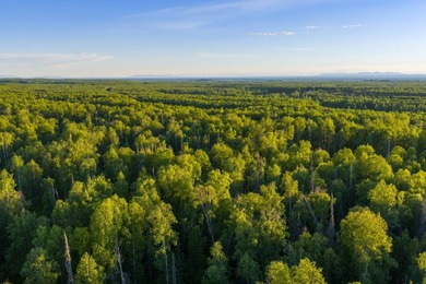 Take a look at this beautiful 3.62 +/- acre property (Unit 77) - photo 9