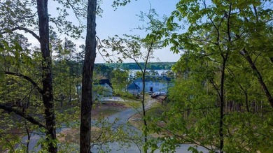 Priced under current appraisal value. LAKE ACCESS, LAKE VIEWS - photo 6