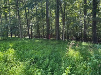Lake Lot For Sale in Clarksville, Virginia