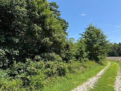 Lake Lot For Sale in Clarksville, Virginia