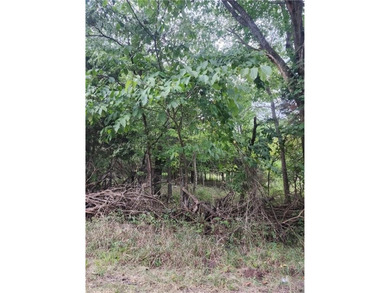 Here is your opportunity to have beautiful side-by-side building - photo 1