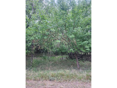 Here is your opportunity to have beautiful side-by-side building - photo 2