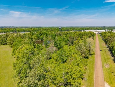 ?? Prime Land Opportunity - Noseff Dr, Batesville Discover the - photo 15