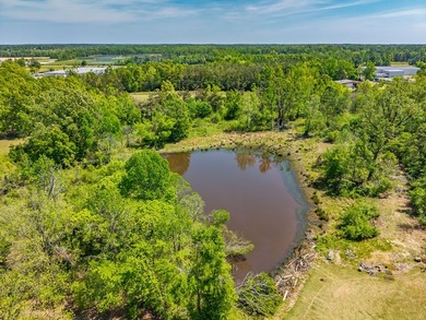 ?? Prime Land Opportunity - Noseff Dr, Batesville Discover the - photo 17