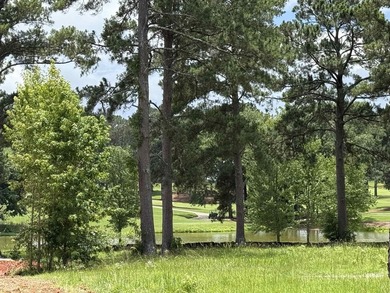 This stunning home offers one of the most incredible LAKE and - photo 4