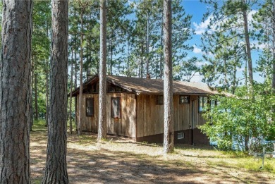 (private lake) Home For Sale in Danbury Wisconsin