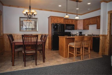 Lake Townhome/Townhouse For Sale in Deerwood Twp, Minnesota