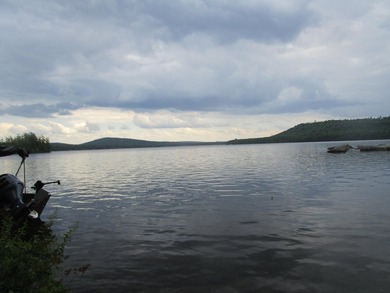 Gorgeous 70 feet of lawn on Cold Stream Pond with two acres of - photo 1