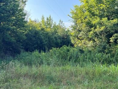 Lake Lot For Sale in Halifax, Virginia