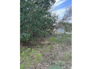 Discover the charm of Runaway Bay living! This property sits on - photo 6
