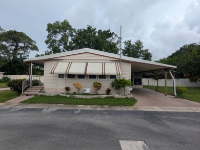 (private lake, pond, creek) Home For Sale in Clearwater Florida