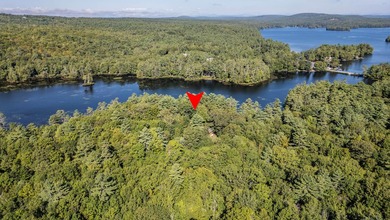Private waterfront compound for year-round living, a summer - photo 4