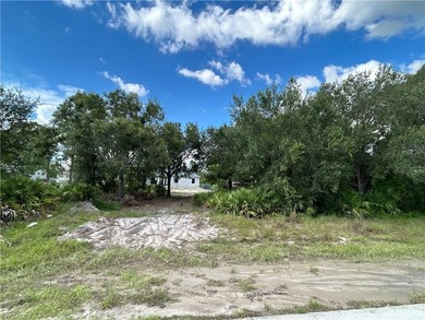Lehigh Acres Area Lot For Sale in Lehigh Acres Florida