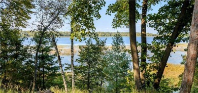 Lake Lot For Sale in Blueberry Twp, Minnesota