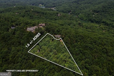 Lake Lot For Sale in Cleveland, Georgia