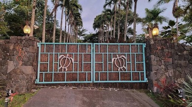 Enter via a gated Palm Tree lined drive to a dramatic custom - photo 3