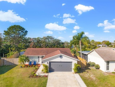 Lake Home Sale Pending in New Port Richey, Florida