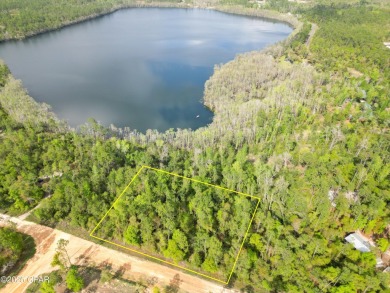 Lake Acreage For Sale in Alford, Florida