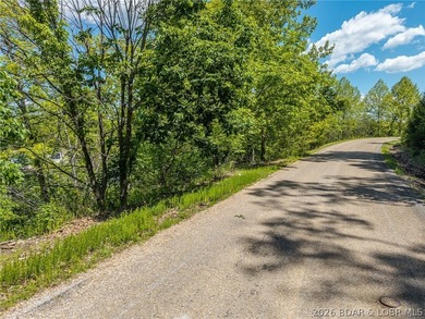Lake of the Ozarks, lake front lot ready for you to build that - photo 23