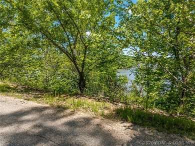 Lake of the Ozarks, lake front lot ready for you to build that - photo 24