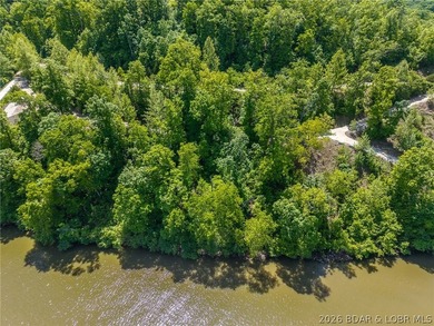 Lake of the Ozarks, lake front lot ready for you to build that - photo 26