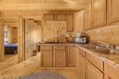 Discover a rare opportunity on Bill Green Pond with this - photo 10