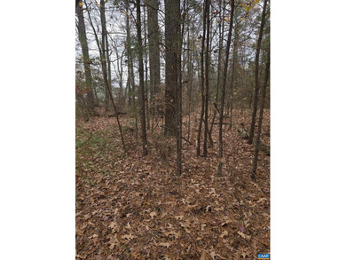 Potomac River Lot For Sale in Colonial Beach Virginia