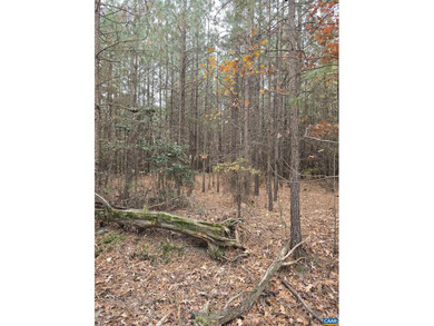 Potomac River Lot For Sale in Colonial Beach Virginia