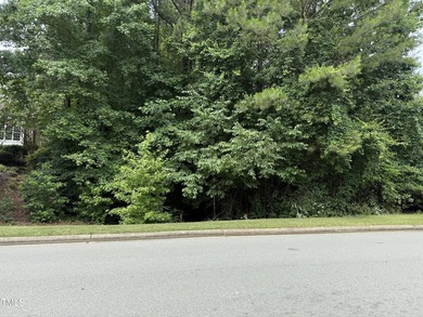 Come build your dream home in The Preserve at Jordan Lake! This - photo 35