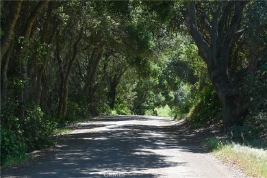 Calling all visionaries! This rare 140-acre property near the - photo 1