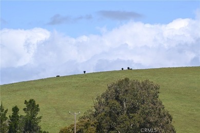 Calling all visionaries! This rare 140-acre property near the - photo 2