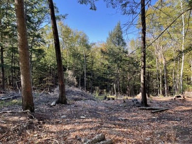 Located on a town maintained road, this 12 acre wooded lot - photo 2
