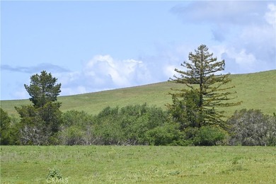 Calling all visionaries! This rare 140-acre property near the - photo 3