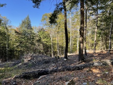 Located on a town maintained road, this 12 acre wooded lot - photo 3