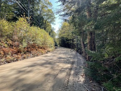 Located on a town maintained road, this 12 acre wooded lot - photo 4