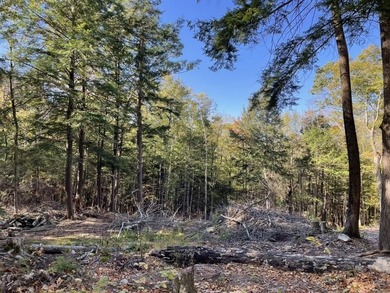 Located on a town maintained road, this 12 acre wooded lot - photo 5