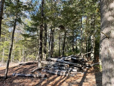 Located on a town maintained road, this 12 acre wooded lot - photo 6