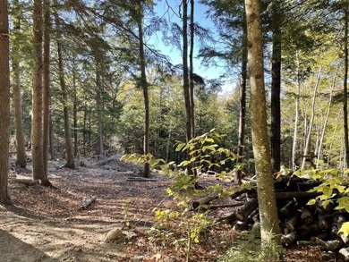 Located on a town maintained road, this 12 acre wooded lot - photo 7