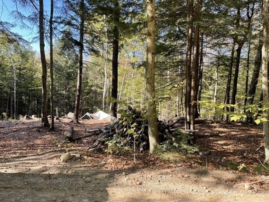 Located on a town maintained road, this 12 acre wooded lot - photo 8