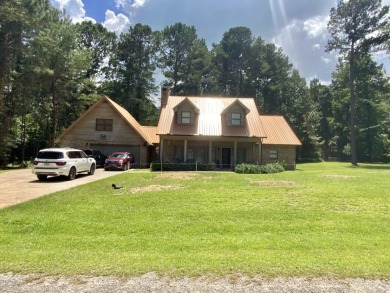 Completely Remodeled/Updated Home W/New Copper Roof - Lake Home For Sale in Pachuta, Mississippi