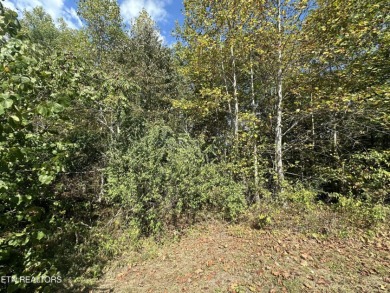 lot 43 Old Hearth Dr - photo 5
