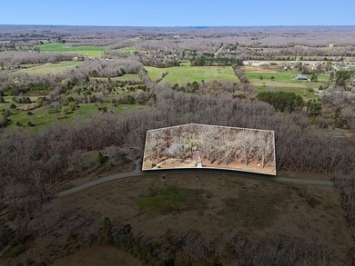 Nestled within Manchester, Tennessee's Urban Growth Boundary - photo 50