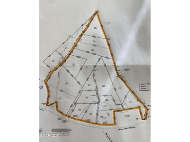 Tremendous potential in fast growing Kingston. Located near - photo 2